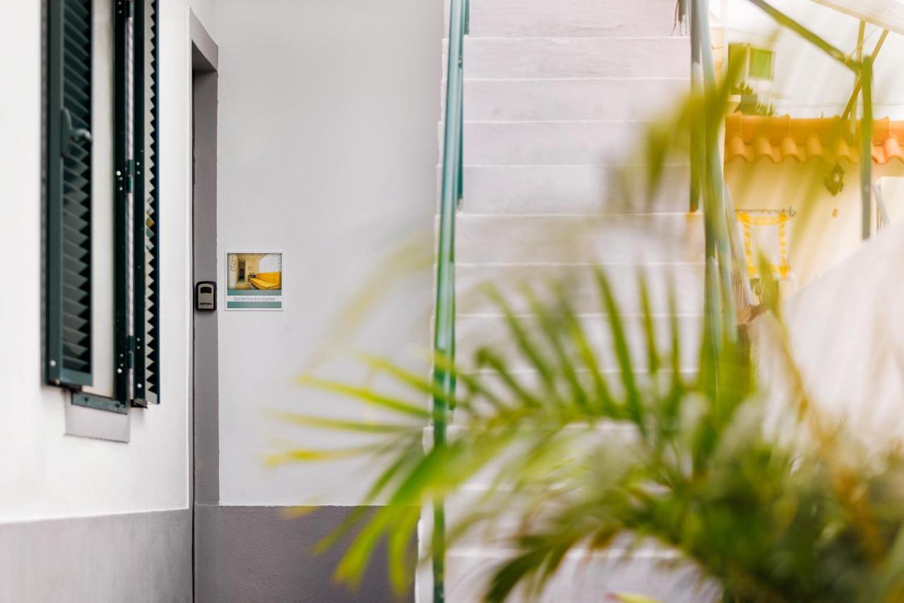 Hotel Quintinha Tropical - Panoramic Gateway To Madeira Funchal  Exterior foto
